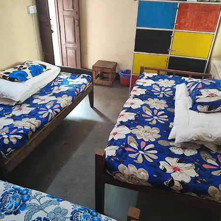 Happy Donkey Hostel-2